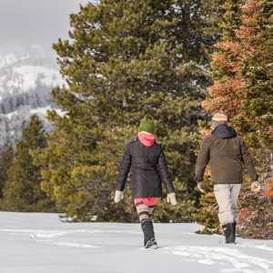 A couple walking through a snowy field.