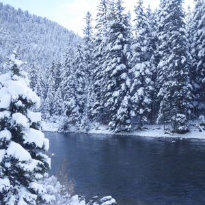 The Gallatin River in Montana surrounded by snowy evergreen trees.