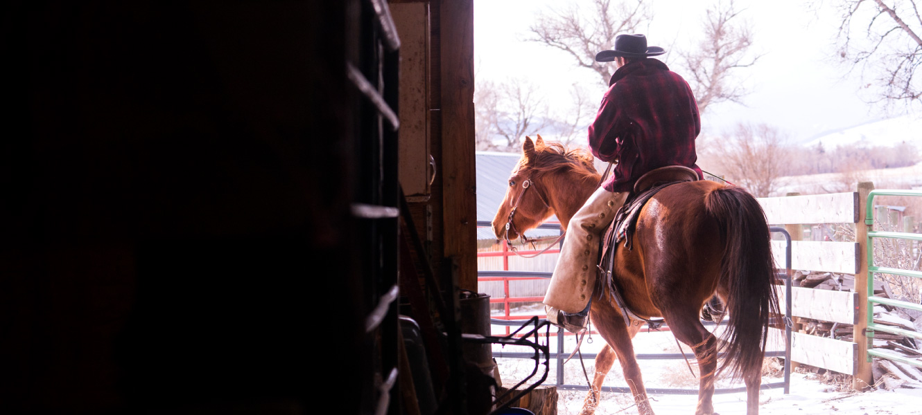 A man dressed in warm clothes exits a barn riding a brown horse. It's snowing.