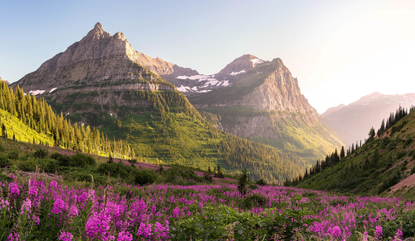 A landscape of mountains and a field of flowers below. 