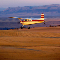 A single propeller airplane flying across a grain field.