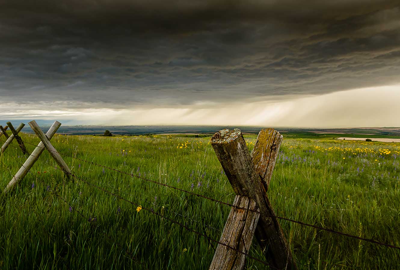 Barbed wire fence with storm clouds moving over a field of wildflowers in the background