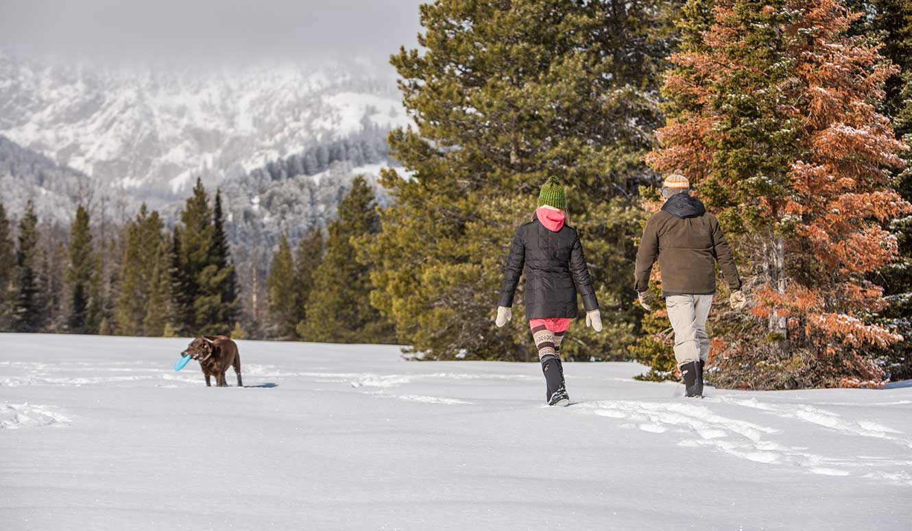 A couple walking their dog through a snowy field.