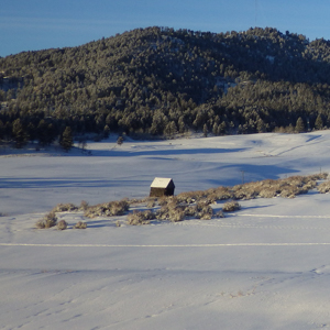 A small barn in a snowy field with tree-covered mountains in the background.