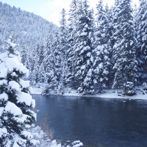 The Gallatin River in Montana surrounded by snowy evergreen trees.