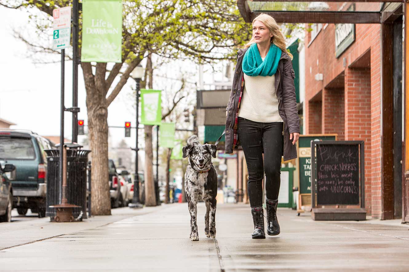 A woman walking a black and white dog down a main street sidewalk.